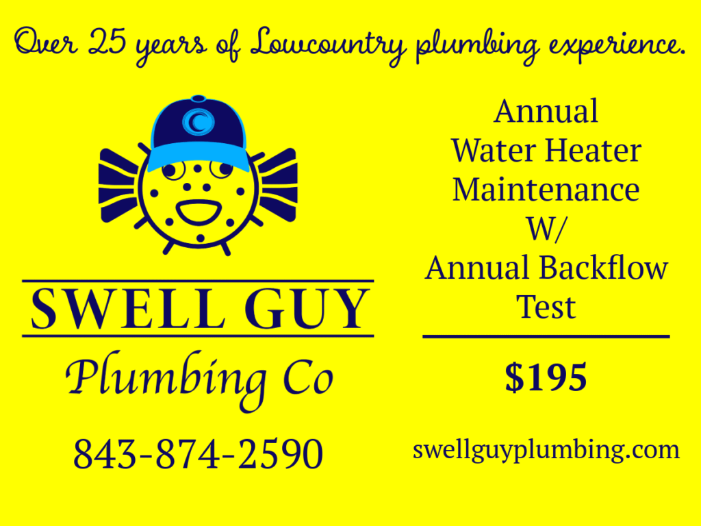 $195 combination water heater maintenace and annual backflow test special priced offer in Summerville, Goose Creek, Moncks Corner, Ladson, Hanahan, West Ashley and North Charleston, SC.