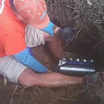 Swell Guy Plumbing is a local, licensed and experienced plumber serving Goose Creek, Hanahan, Ladson, Moncks Corner, North Charleston, and Summerville, SC.