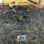 Swell Guy Plumbing always recommends having SC811 (a free service) mark your yard for utilities before digging. Utility lines run all over the place in the Lowcountry.