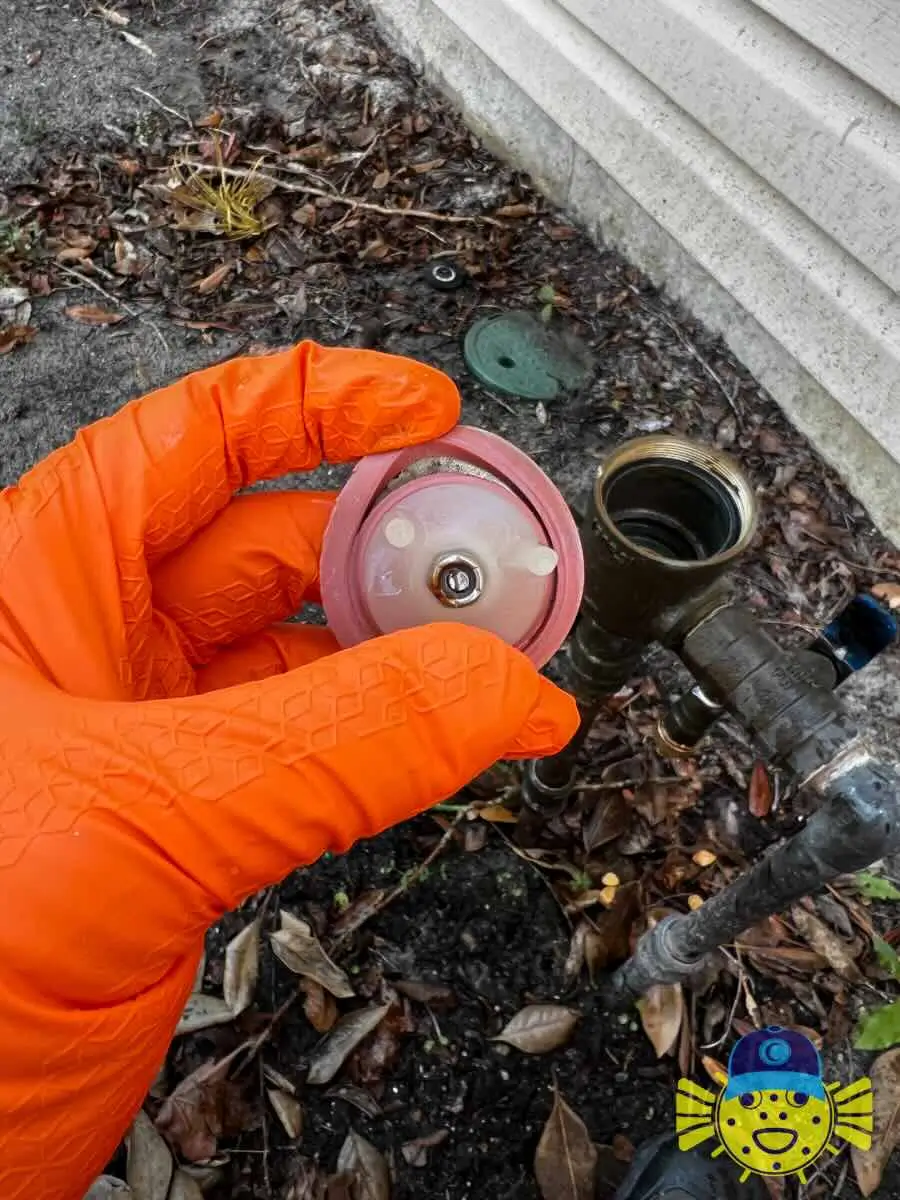 Plumber from Swell Guy Plumbing holding an internal bonnet and poppet assembly next to an outdoor pressure vacuum breaker backflow preventer during a repair in Hanahan, SC.