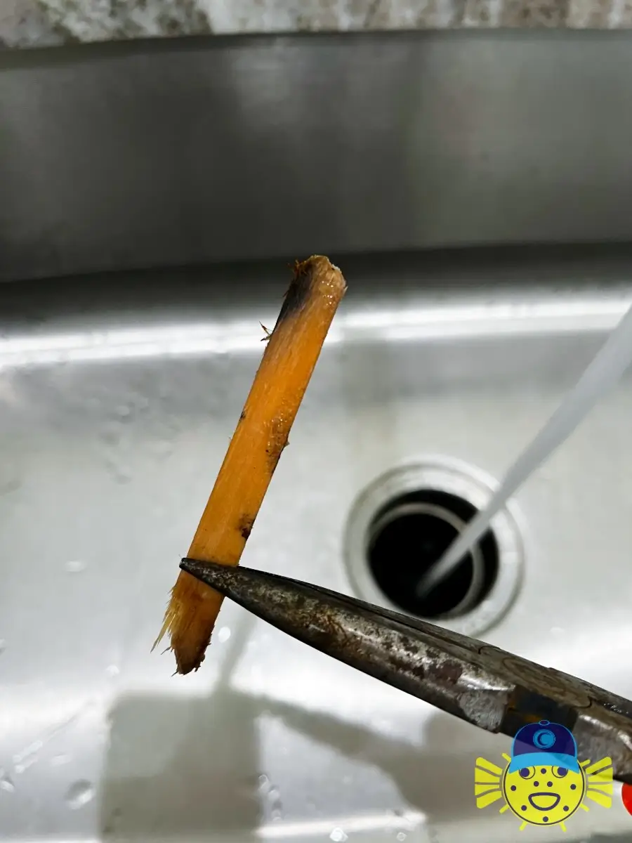 Pliers pulling a popsicle stick out of a kitchen sink garbage disposal in Hanahan, SC.
