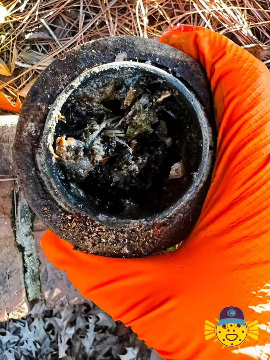 Swell Guy Plumbing inspecting a clogged cast iron drain line during a repair in Hanahan, SC.