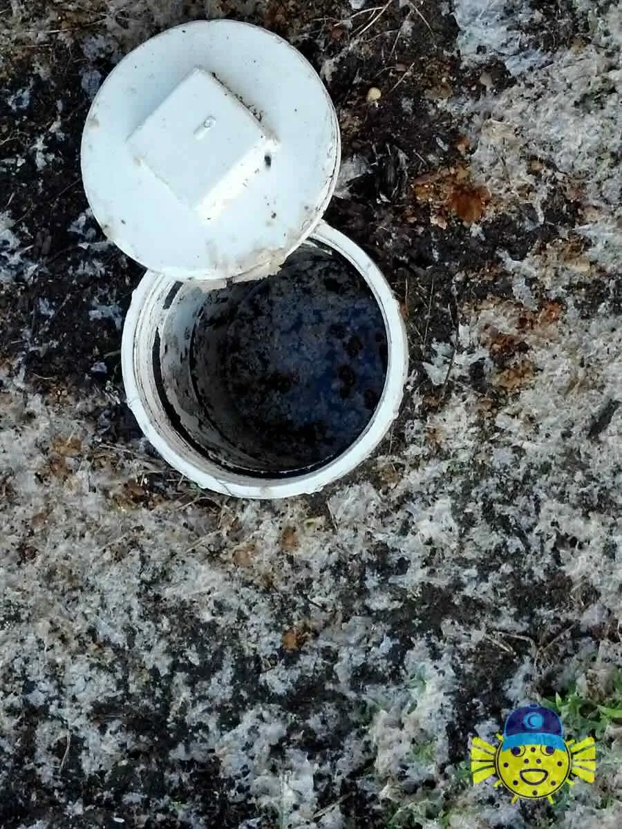Open outdoor PVC sewer cleanout pipe showing standing sewage from a main line clog in North Charleston, SC.