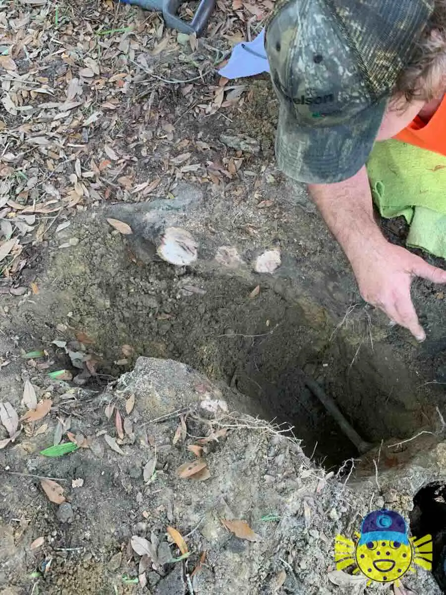 Plumber from Swell Guy Plumbing pointing into an excavated hole near tree roots during a main water line repair in Goose Creek, SC.